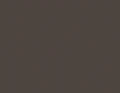 cacao.jpg
