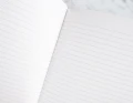 APICA A5 CD11-c.jpg