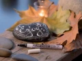 TALS2012.jpg