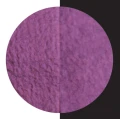 M037_Magnolia_Detail-1.jpg