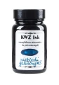 Atrament KWZ niebieski galusowy #5