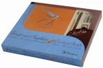 Brause Junior Set Calligraphy