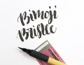 fude pen medium bristles
